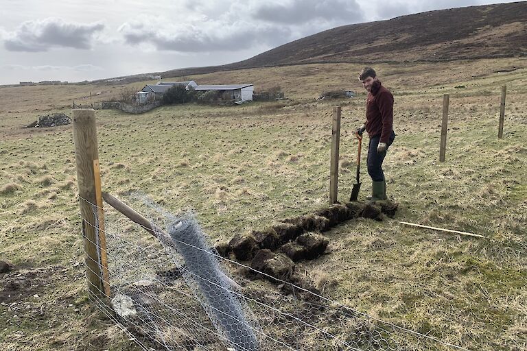 Tom undertaking some essential rabbit proofing