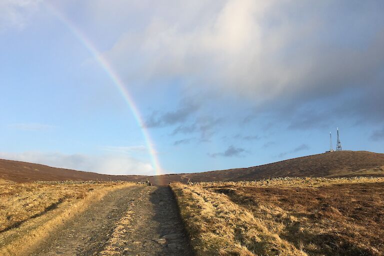 Rainbow taken on a morning jog by Tom