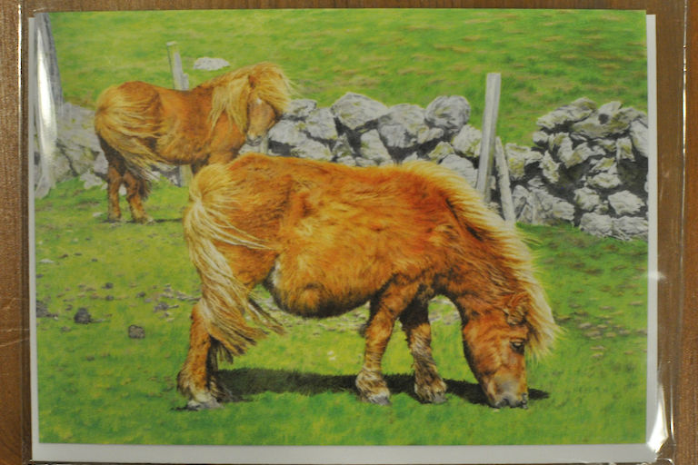 Two Summer Ponies Card
