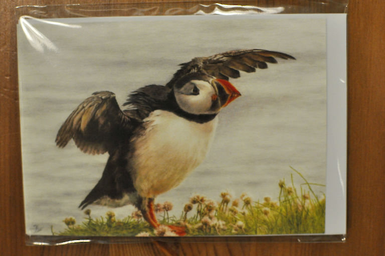Puffin Stretching Wings Card