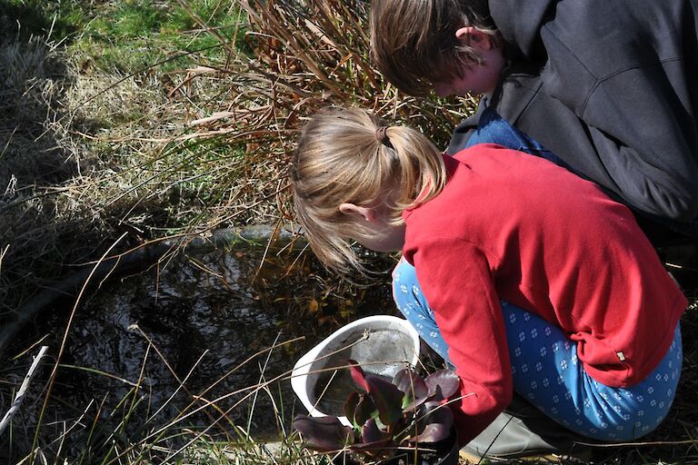 Checking the Tadpoles