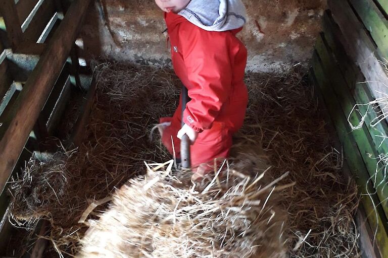 Magnus mucking out sheep hoose