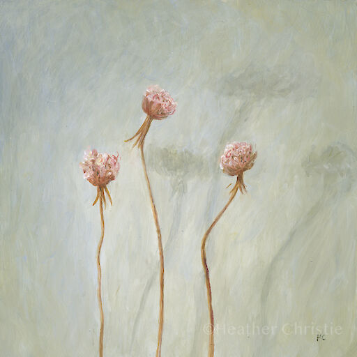 ‘Fading Thrift’ - 2019 - 20 x 20cm