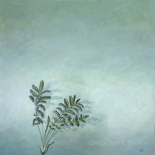 ‘Spring silverweed’ - 2019 - 40 x 40 cm