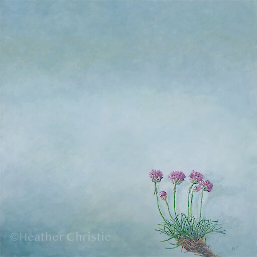 ‘Spring thrift’ - 2019 - 40 x 40cm