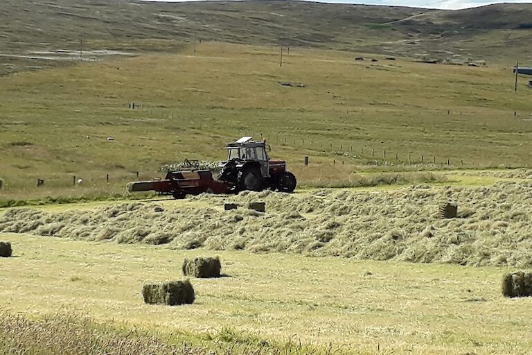 Hay baling at Brough
